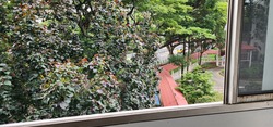 Blk 248 Kim Keat Link (Toa Payoh), HDB 5 Rooms #602835841
